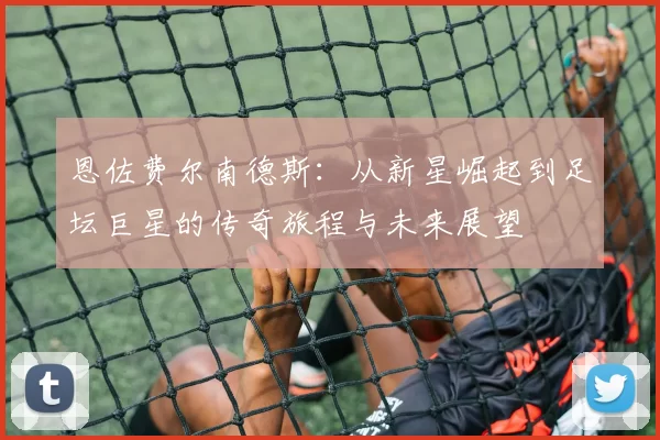 恩佐费尔南德斯：从新星崛起到足坛巨星的传奇旅程与未来展望