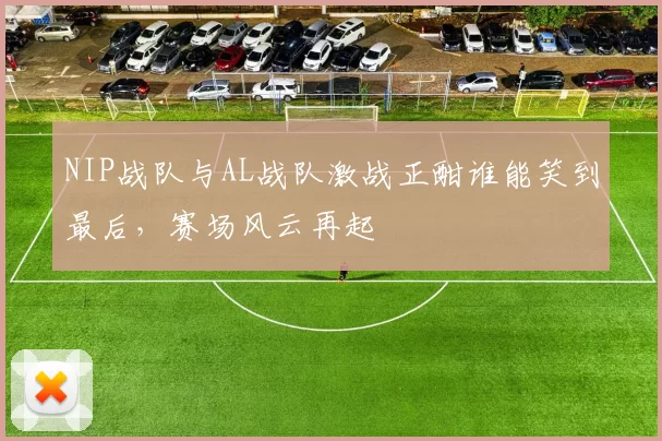 NIP战队与AL战队激战正酣谁能笑到最后，赛场风云再起