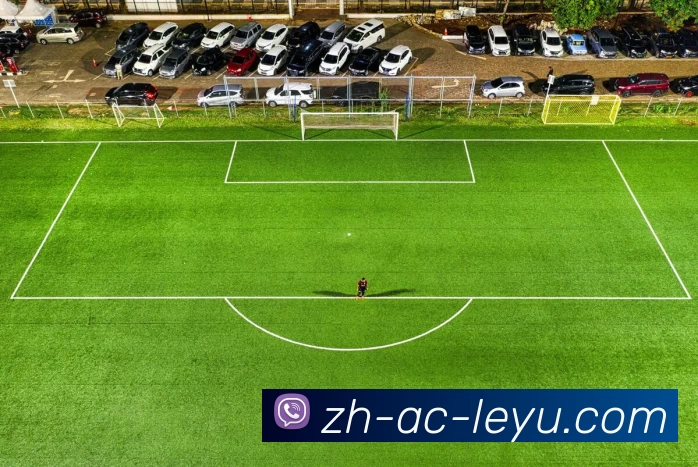 多媒体互动体验